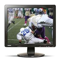 Orion Images Corp19RCE 19-Inch Commercial Grade LCD Monitor (Black)