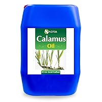 Calamus Oil (Acorus Calamus) Therapeutic Essential Oil by Salvia Amber Bottle Natural Uncut Undiluted Pure Cold Pressed Aromatherapy Premium Oil (25L/845.35 fl oz)