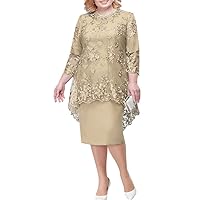 Plus Size Lace Mother of The Bride Dresses Autumn Winter 2 PCS Short Elegant Formal Evening Gown Robe