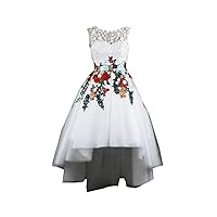 Sheer Illusion Neck Hi Low Colorful Floral Flowers Lace Wedding Prom Party Dresses A line Tulle