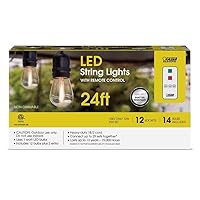 Feit Electric LED String Lights Amber 24 ft. 12 Lights