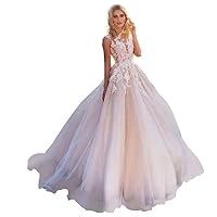 V Neck Wedding Dresses for Women Long Ball Gown Lace Wedding Gowns Lace Appliques DR0001-06