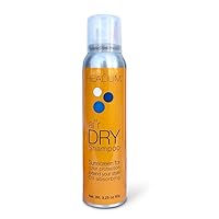 Dry Shampoo, 3.25 oz - Sunscreen Oil Absorbing Extend Your Style Without Washing –Products for Men, Women, Curly, Frizzy, Fine, Thin Textures by Healium Hair