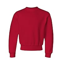 Jerzees boys Fleece Sweatshirts, Hoodies & Sweatpants Shirt, Sweatshirt - True Red, X-Large US
