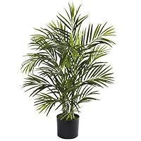 2.5 ft. Areca Palm UV Resistant - Indoor-Outdoor