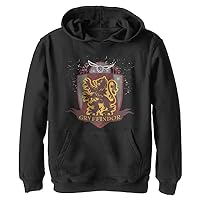 Harry Potter Kids Deathly Hallows Gryffindor Quidditch Youth Pullover Hoodie