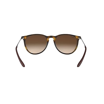 Ray-Ban Rb4171 Erika Round Sunglasses