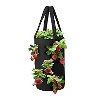 Strawberry Grow Bag 3 Gallon Hanging Tomato Planter 12 Holes Planting Bags Strawberry Planting Bags Hanging Strawberry Planter Upside Down Tomato Planter for Vegetables