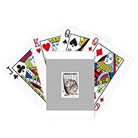 Animals Tear Cats Hide Art Deco Fashion Poker Playing Magic Card Fun Board Game