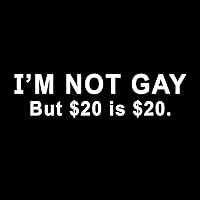 I'm Not Gay But $20 is Twenty Bucks Funny 6