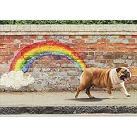 Avanti Dog Rainbow Funny Bulldog Birthday Card
