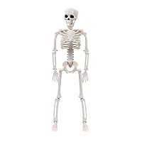 Halloween Skeleton Life Size Halloween Decoration Full Size Hanging Skeleton with Movable Joints for Halloween Props Halloween Skeleton