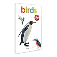 Birds (Big Board Books)