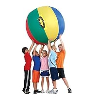 US Games 60 Inch Nylon Complete Cage Ball