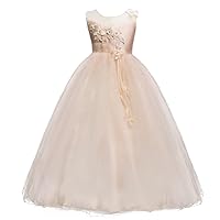 Flower Girl Lace Princess Dress for Kids Wedding Bridesmaid Pageant Party Maxi Gowns Communion Birthday Puffy Tulle Dresses