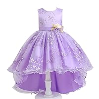 Girls Lace Sparkle Tulle Princess Dress for Wedding Birthday Party Kids Bridesmaid Evening Gown Formal (150cm, Light Purple)