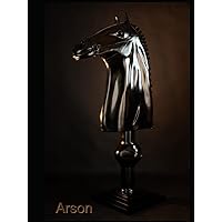 Arson: Sculptures (French Edition) Arson: Sculptures (French Edition) Hardcover Paperback