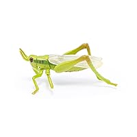Papo -hand-painted - figurine -Wild animal kingdom - Grasshopper -50268 -Collectible - For Children - Suitable for Boys and Girls- From 3 years old