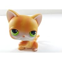 Kitten Shorthair #11 (Cat, Raised Paw, Orange, Green Eyes, Tabby Stripes) 2004 Littlest Pet Shop (Retired) Collector Toy - LPS Collectible Replacement Single Figure Loose (OOP Out of Package)