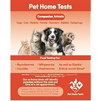 Companion Animal Worm Test
