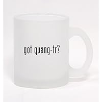 got quang-tr? - Frosted Glass Coffee Mug 10oz