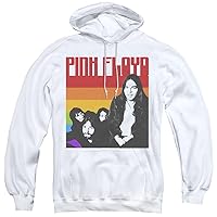Popfunk Classic Pink Floyd Color Bars Unisex Adult Pull-Over Hoodie