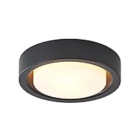 13 Inch Flush Mount Ceiling Light,Black Finish Plate with Frosted Glass Shade,Round Ceiling Lighting Fixture for Hallway Bedroom Closet Livingroom Kitchen Stairwell (Black)
