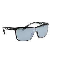 SP0019 Panto Sunglasses, Black, 00mm