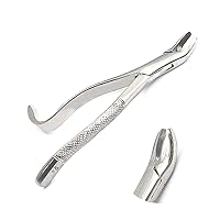 Dental Tooth Extracting Forceps # 24