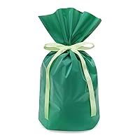 Frost Ribbon Gift Bags S, Eco Green, Pack of 40