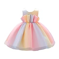 Toddler Girl Tutu Dress Ruffled Rainbow Sleeveless Big Bowknot Tulle Dress Flower Princess Dress