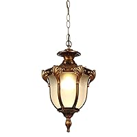E27 Vintage Outdoor Waterproof Chandelier Ceiling Lighting, Glass Pendant Light Garden Hanging Lamp for Villa Aisle Balcony Garage Flush Mount Light (Color : Bronze)