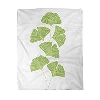 60x80 Inches Flannel Throw Blanket Leaf Ginkgo Biloba Leaves Ginko Alternative Antioxidant Asia Autumn Home Decorative Warm Cozy Soft Blanket for Couch Sofa Bed