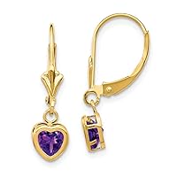 14k Yellow Gold Polished Leverback 5mm Love Heart Amethyst Earrings Measures 23x6mm Wide Jewelry for Women