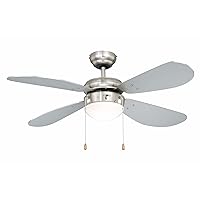 Classic Ceiling Fan with Lighting, 105 cm, FN43332