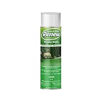 Seymour 20-602 Grass and Shrub Renew Spray Paint, Pristine Green (17 oz.)
