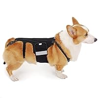 In hand Back Brace for Dogs, Canine Dogs Back Brace Helps Small Dogs with IVDD, Arthritis, Surgery Recovery, Spinal Disc Pain Relief, Back Protector Support for Back Disease Prevention