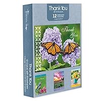 Pack of 12 Religious Thank You Cards, Boxed Enclosure Cards 4 Designs with Envelopes. Includes KJV Scripture on Each Card