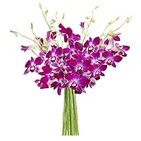 KaBloom Blooms2Door Prime Next Day DELIVERY - Mother’s Day Collection - The Ultimate Purple Orchid, 5 Count.Gift for Birthday, Thank You, Valentine, Mother’s Day Fresh Flowers