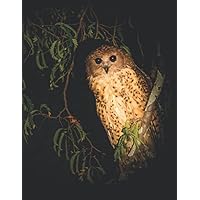 Owl Diary: 8.5 X 11 Ruled Notebook, Lined Journal For Writing, Close-up Of Beige Owl Photography Cover - A Useful Gift For Someone Who Loves Strigiformes