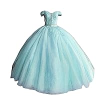 Elegant A line Bling Tulle Evening Prom Dresses with Sleeves Off Shoulders V Neck Corset Back 2024