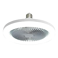 Ceiling Fan with Light and Remote Socket Fan Dimmable 3-Color Temperatures LED Ceiling Fan for Bedroom, Kitchen, Living Room, Closet