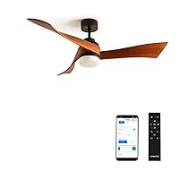 CREATE / Wind Curve / Ceiling Fan Black Dark Wood Wings with Lighting, WLAN and Remote Control / 40 W, Quiet, Diameter 132 cm, 6 Speeds, Timer, DC Motor, Summer Winter Operation