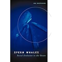Sperm Whales: Social Evolution in the Ocean Sperm Whales: Social Evolution in the Ocean Paperback Hardcover