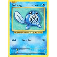 Pokemon - Poliwag (23/108) - XY Evolutions
