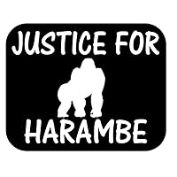 Justice for Harambe 6