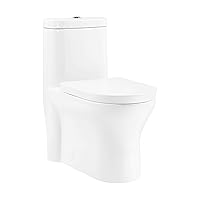 Monaco One-Piece Elongated Toilet Dual Flush 1.1/1.6 gpf with 10