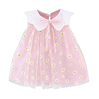 Summer Girls' Dress,Baby Cute Flower Pleated Sleeveless Party Princess Dress Children's Toddler Kids Girls (2-Pink, 3T)