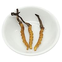 Genuine Dried Cordyceps sinensis/winterworm summerherb, Ophiocordyceps sinensis, Tibet Featured, (3 pcs) net Weight 1g.