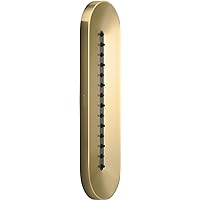 26300-2MB Statement Oblong Vichy Single-Function Body Spray, Semi-Recessed Shower Wall Spray, 2.5 GPM, Vibrant Brushed Moderne Brass